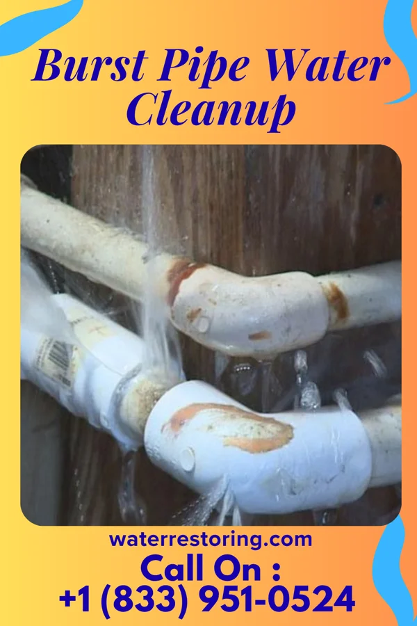 Burst Pipe Water Cleanup in Eastlake, OH