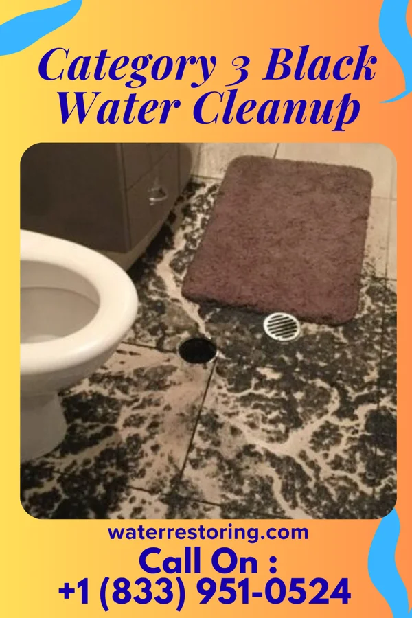 Category 3 Black Water Cleanup in Eastlake, OH