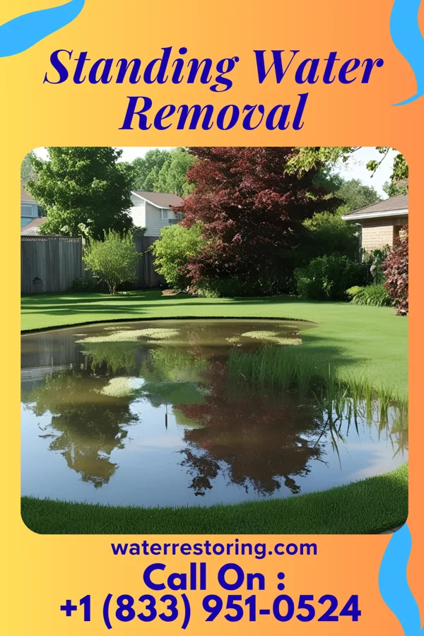 Standing Water Removal in Eastlake, OH